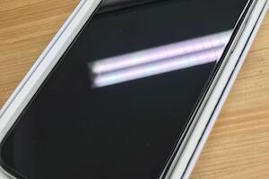 犬とのおでかけに最適な ドッグフレンドリーカフェ 7選