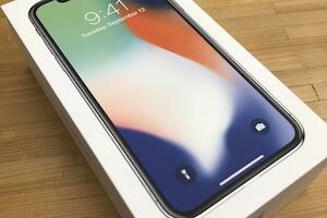 犬とのおでかけに最適な ドッグフレンドリーカフェ 7選