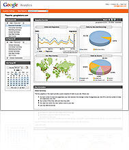 Google Analyticsやり杉・・・・