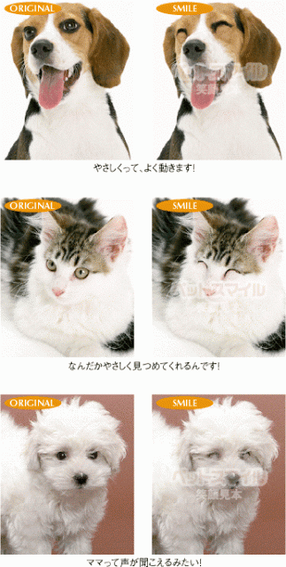 ペットの笑顔