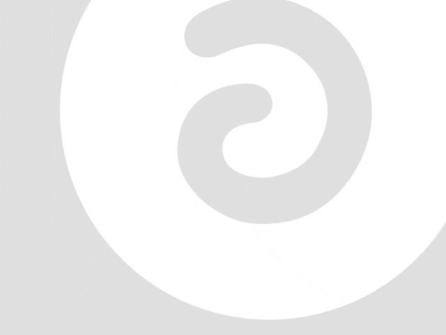 犬とのおでかけに最適な ドッグフレンドリーカフェ 7選